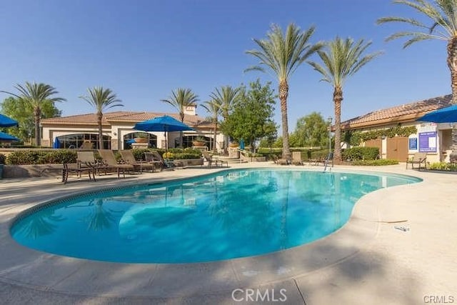 view of swimming pool featuring a patio area