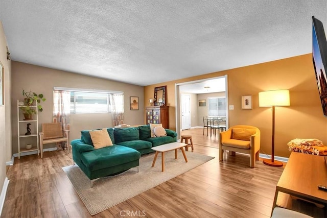 living room with a textured ceiling and hardwood / wood-style floors