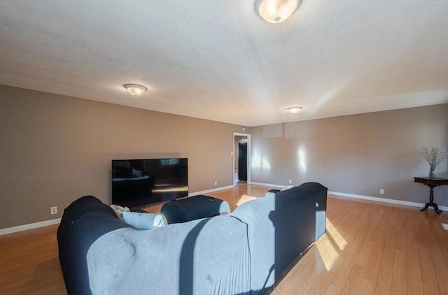 living room with wood-type flooring