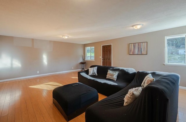 living room featuring light wood-type flooring