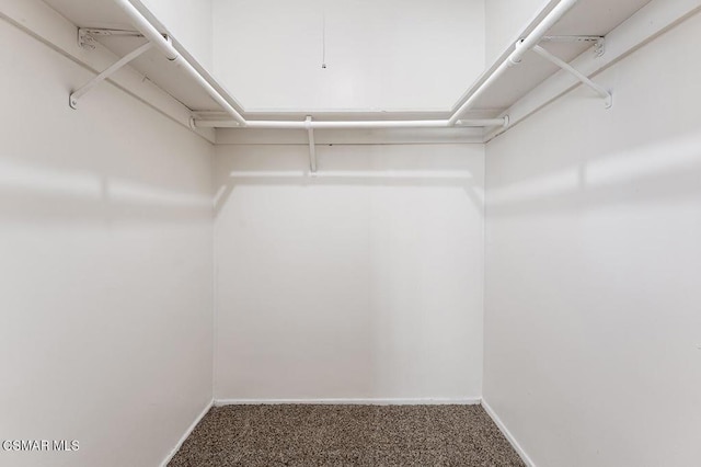 spacious closet featuring carpet