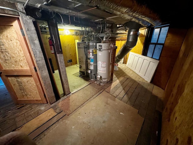 basement with water heater