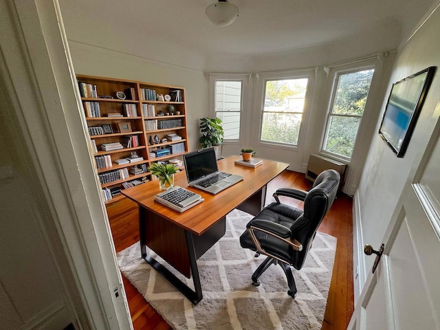 office space featuring wood-type flooring