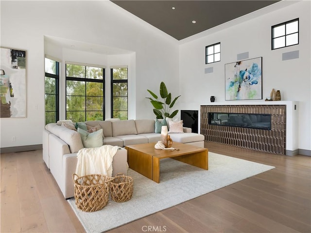 living room featuring light hardwood / wood-style floors