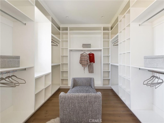 walk in closet featuring dark wood-type flooring