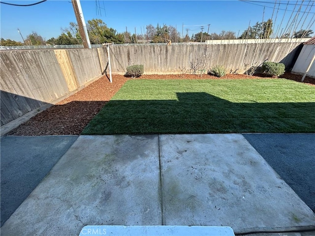 view of yard featuring a patio