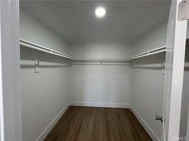 walk in closet featuring dark hardwood / wood-style floors