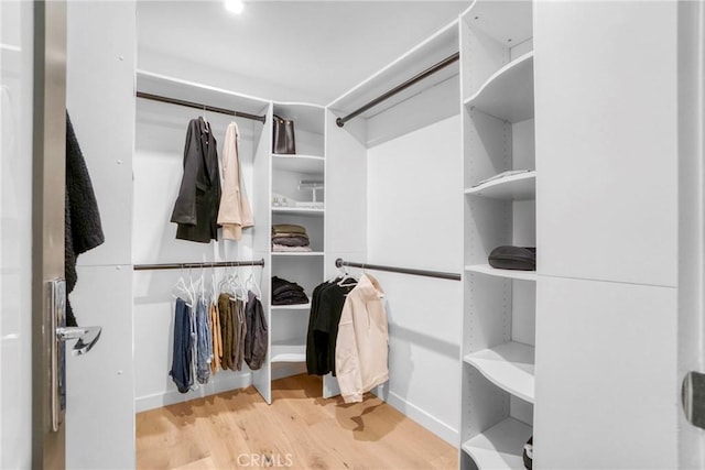 spacious closet featuring light hardwood / wood-style floors