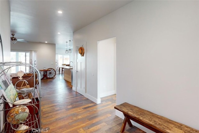 hall featuring dark wood-type flooring