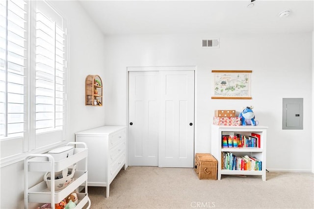 recreation room with electric panel and light carpet