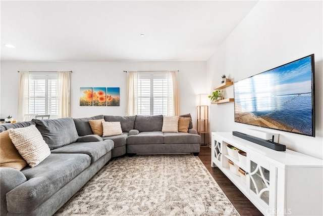 living room with a wealth of natural light and dark hardwood / wood-style flooring