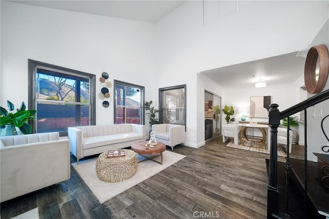 living room featuring a towering ceiling and dark hardwood / wood-style floors