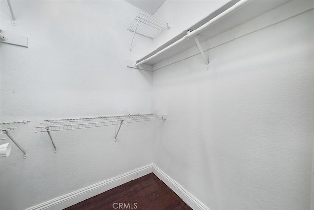 walk in closet featuring hardwood / wood-style flooring