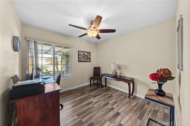 office featuring ceiling fan and hardwood / wood-style flooring