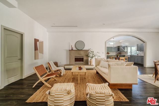 living room featuring dark hardwood / wood-style floors