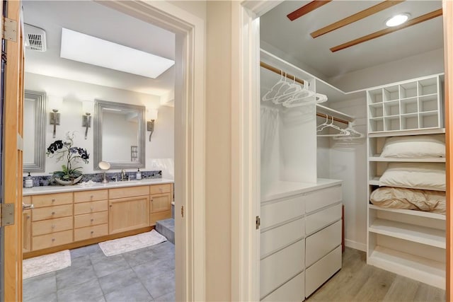 spacious closet with sink and light wood-type flooring