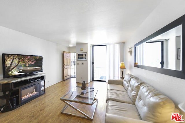 living room featuring wood-type flooring