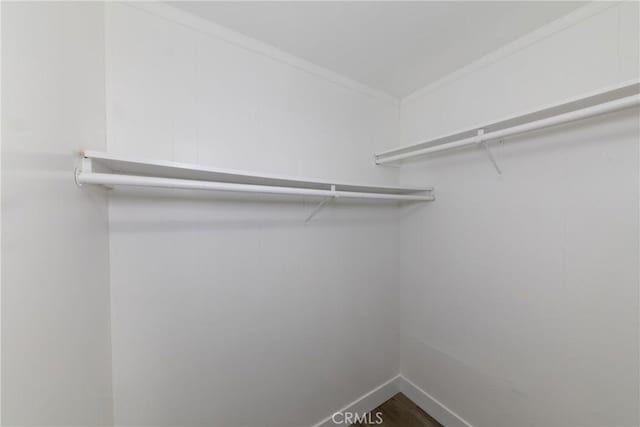 walk in closet featuring dark wood-type flooring