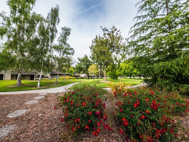 view of home's community with a yard