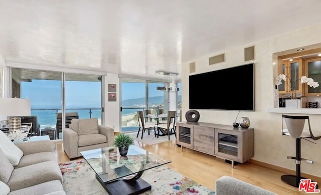 living room featuring a wall of windows and light wood-type flooring