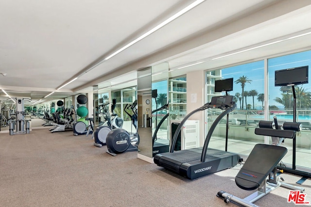 gym featuring a wall of windows