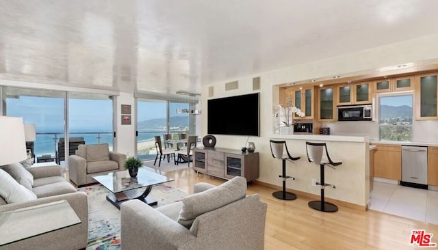 living room with light hardwood / wood-style flooring and plenty of natural light