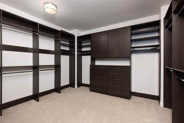 spacious closet featuring light colored carpet