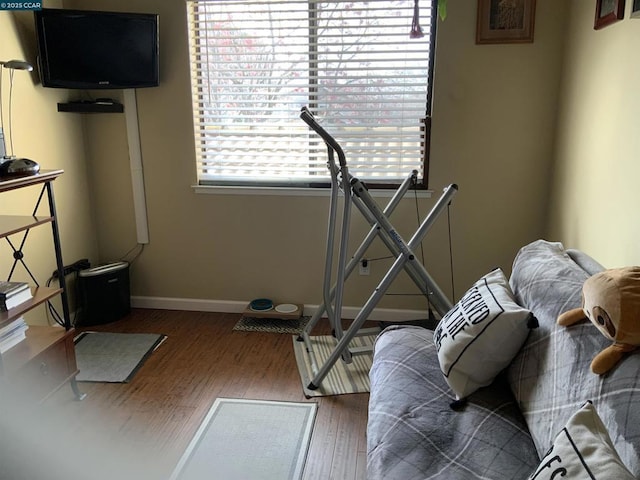 bedroom with wood-type flooring