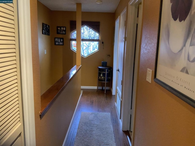 hall featuring dark hardwood / wood-style flooring