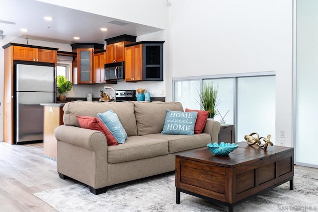 living room featuring light hardwood / wood-style flooring