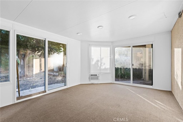 carpeted spare room featuring a healthy amount of sunlight