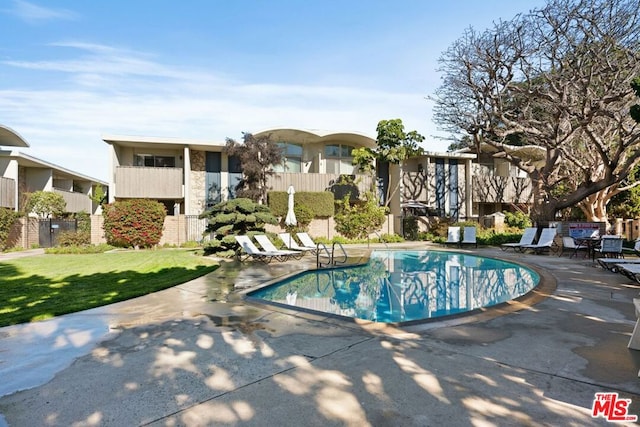 view of pool featuring a yard and a patio