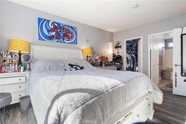 bedroom with a spacious closet, a closet, and dark hardwood / wood-style flooring