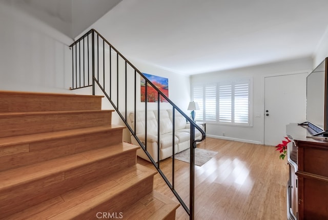 staircase featuring hardwood / wood-style flooring