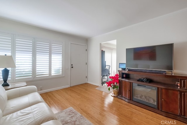 living room featuring light hardwood / wood-style floors