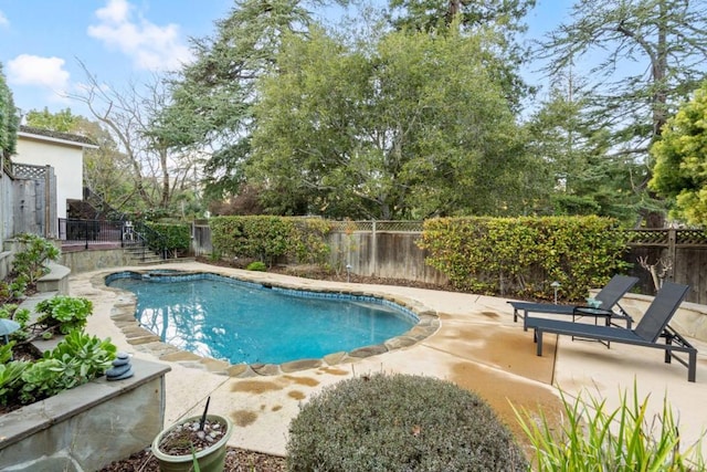 view of pool featuring a patio area