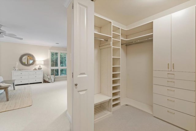 walk in closet with light carpet and ceiling fan