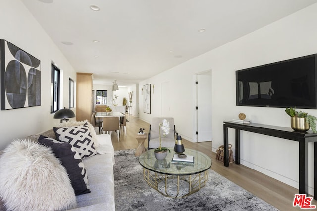 living room featuring wood-type flooring