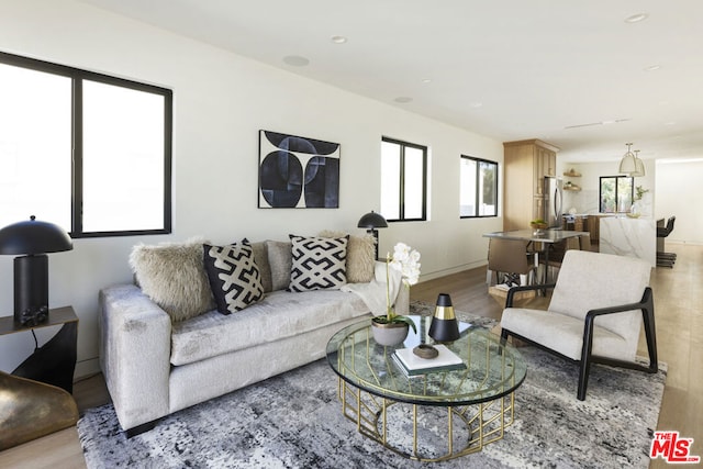 living room with hardwood / wood-style floors