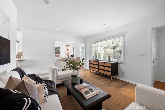 living room featuring wood-type flooring