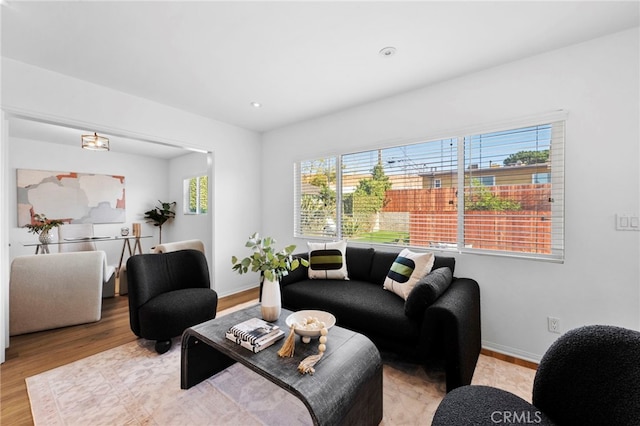 living room with light hardwood / wood-style flooring