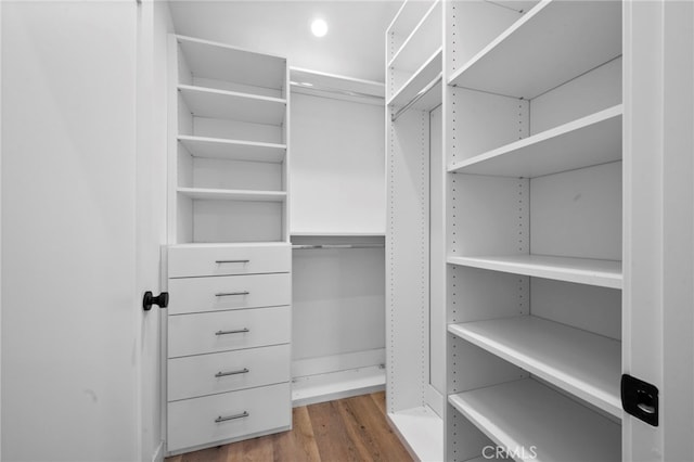 spacious closet with hardwood / wood-style floors