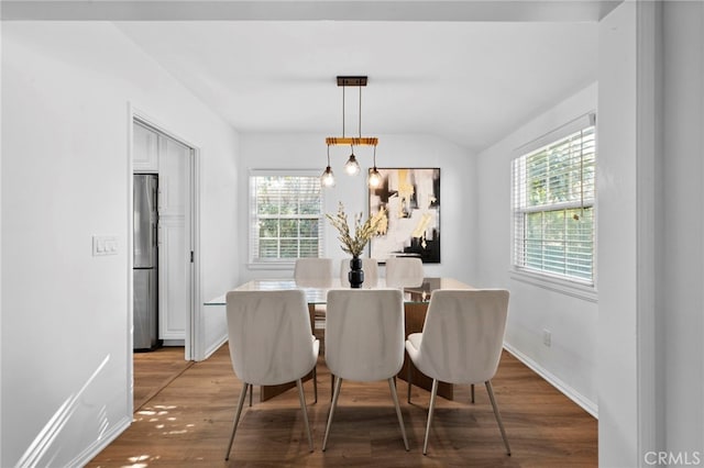 dining space with plenty of natural light and hardwood / wood-style floors