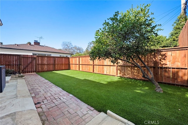 view of yard with a patio