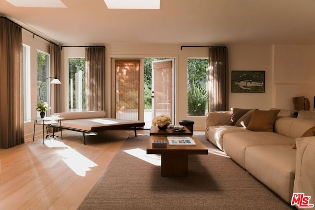 living room with light wood-type flooring