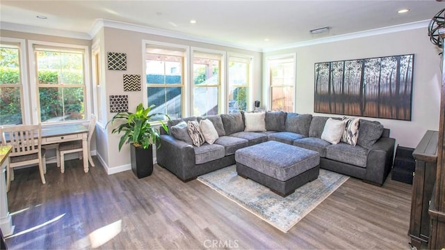 living room with ornamental molding and wood-type flooring