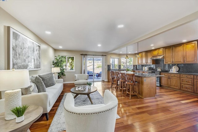 living room featuring dark hardwood / wood-style floors