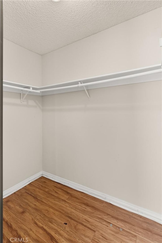 spacious closet featuring hardwood / wood-style flooring