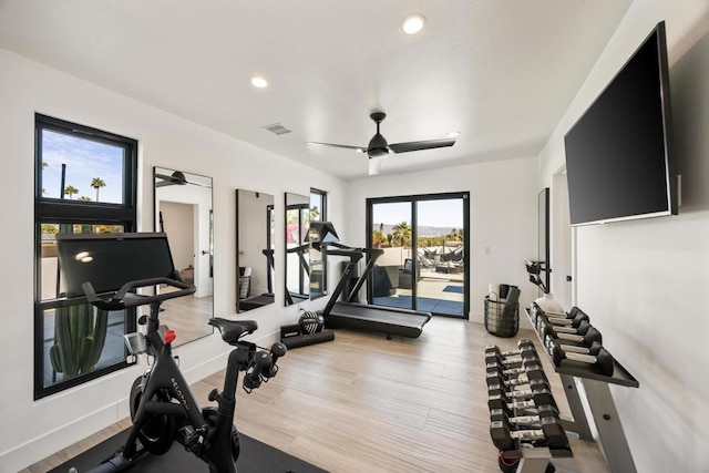 workout room featuring ceiling fan and light hardwood / wood-style flooring