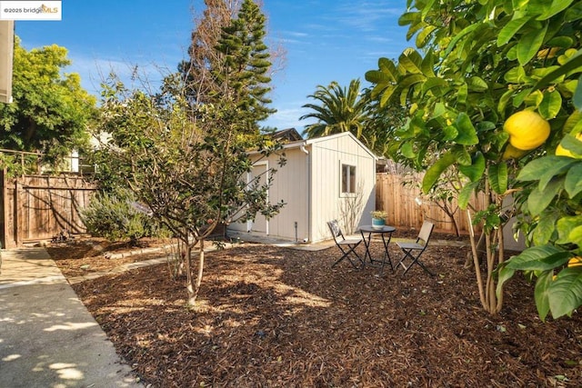 view of yard with a shed